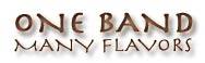 One Band: Many Flavors