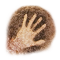 Cave Hand